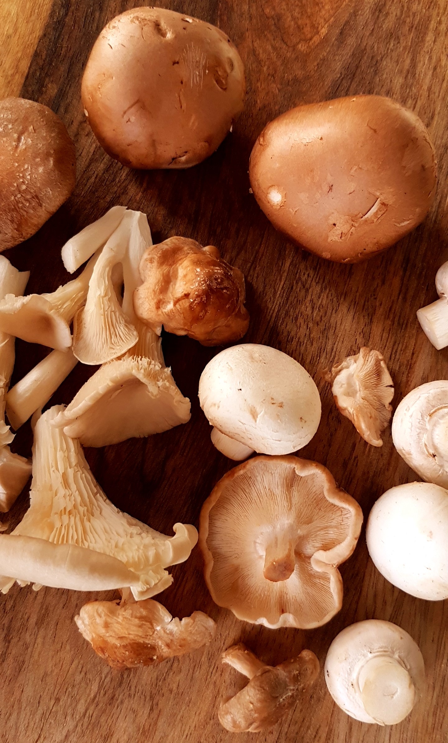 browned-sage-butter-and-turkey-pasta-with-wild-mushrooms1