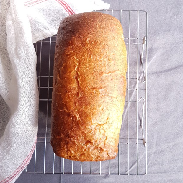 everyday spelt bread