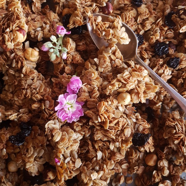 Winter Gingerbread Cherry Granola